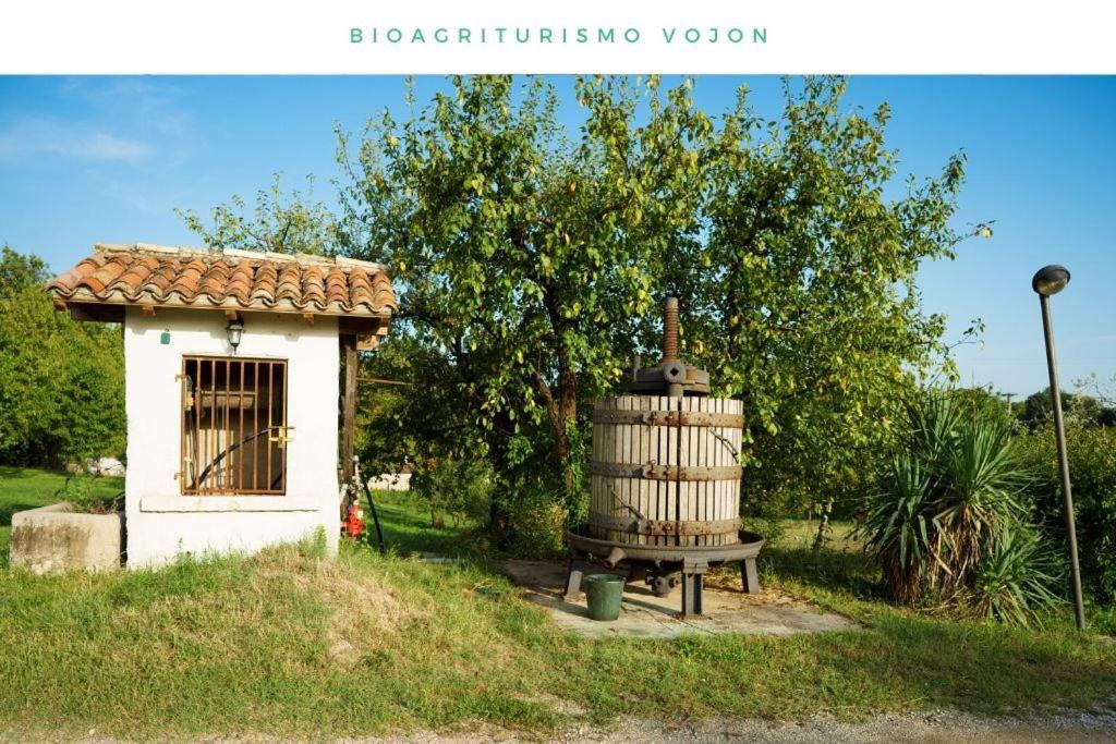 Bio Agriturismo Vojon Понти Сул Минчо Екстериор снимка