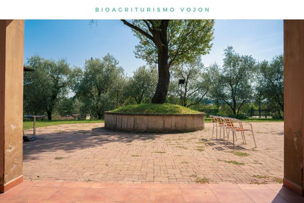 Bio Agriturismo Vojon Понти Сул Минчо Екстериор снимка