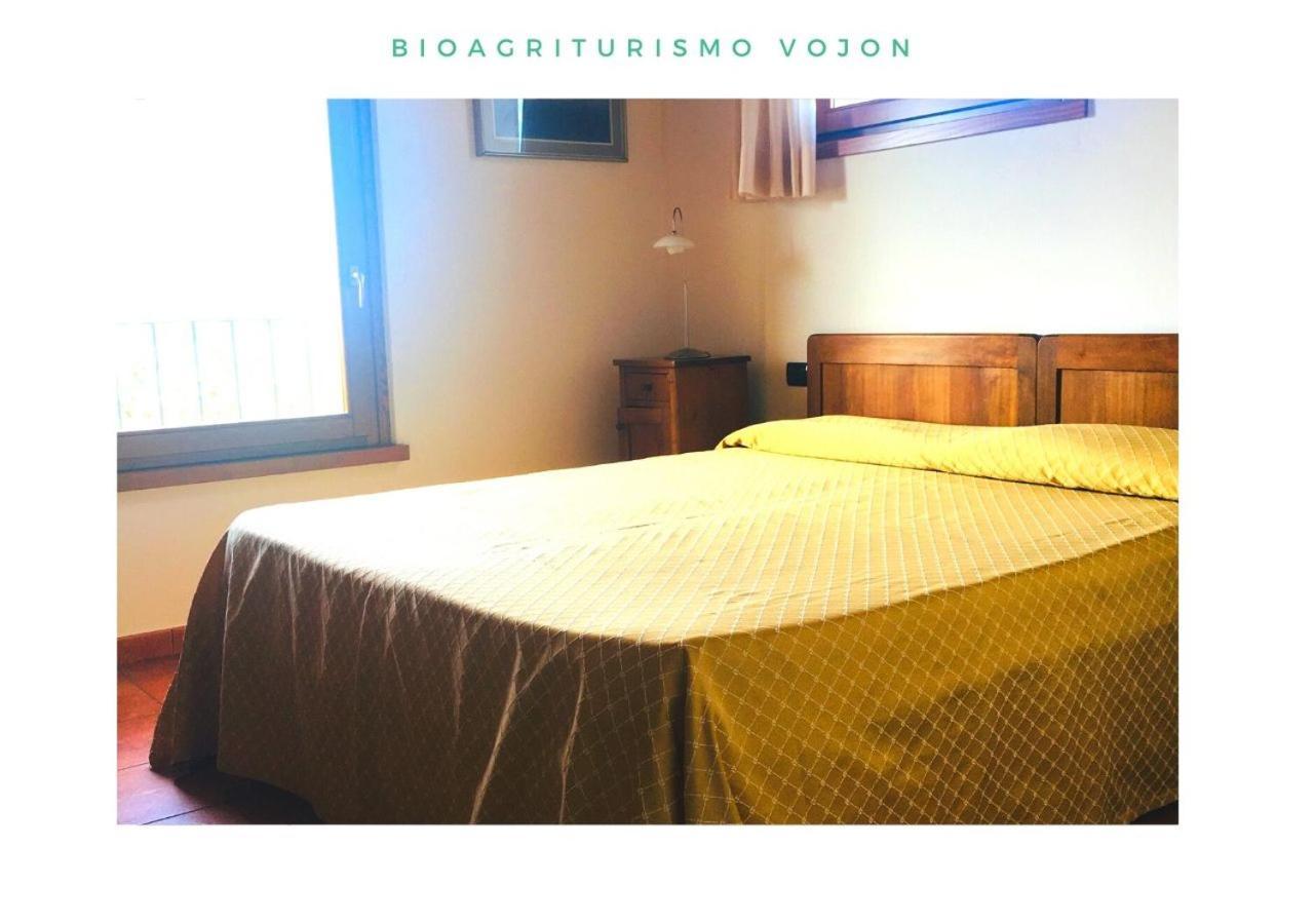 Bio Agriturismo Vojon Понти Сул Минчо Екстериор снимка