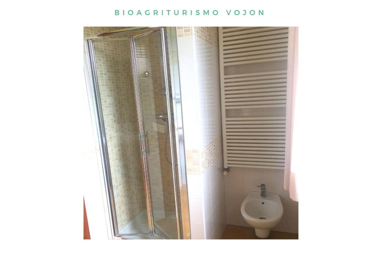 Bio Agriturismo Vojon Понти Сул Минчо Екстериор снимка