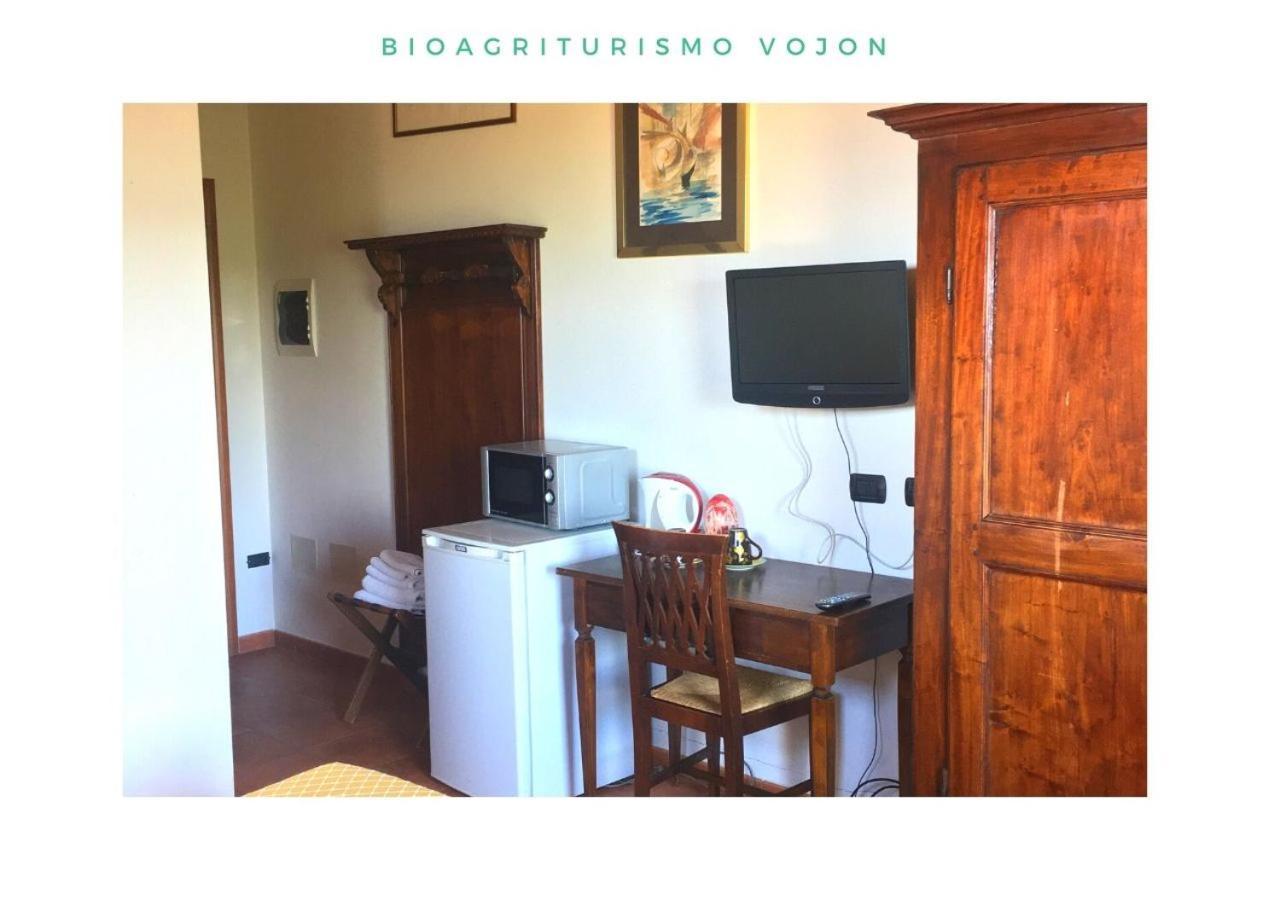 Bio Agriturismo Vojon Понти Сул Минчо Екстериор снимка