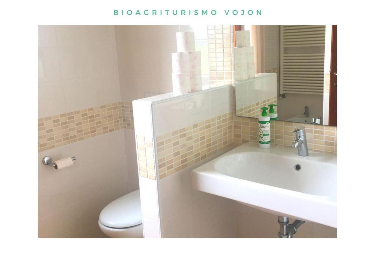 Bio Agriturismo Vojon Понти Сул Минчо Екстериор снимка