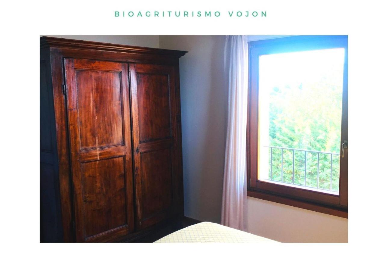 Bio Agriturismo Vojon Понти Сул Минчо Екстериор снимка