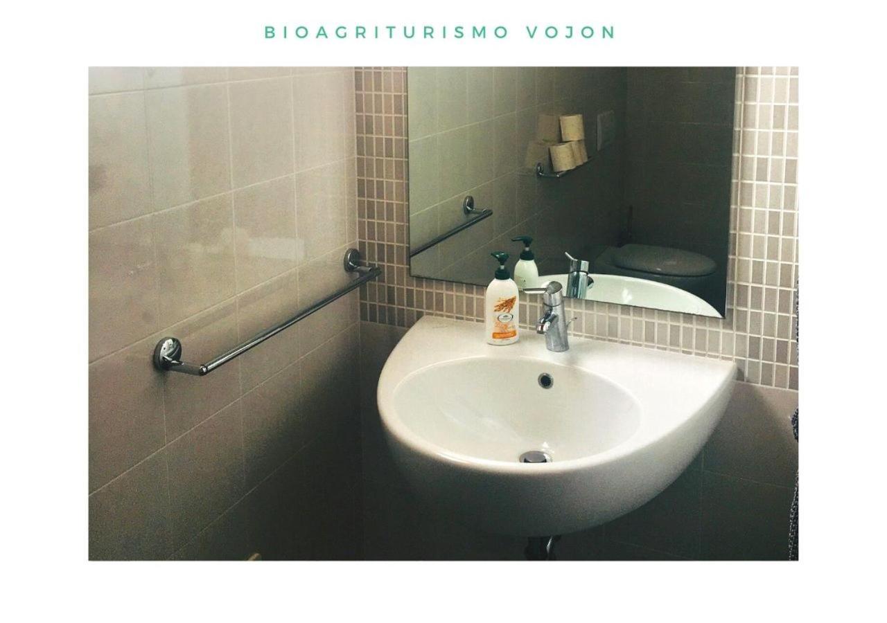 Bio Agriturismo Vojon Понти Сул Минчо Екстериор снимка