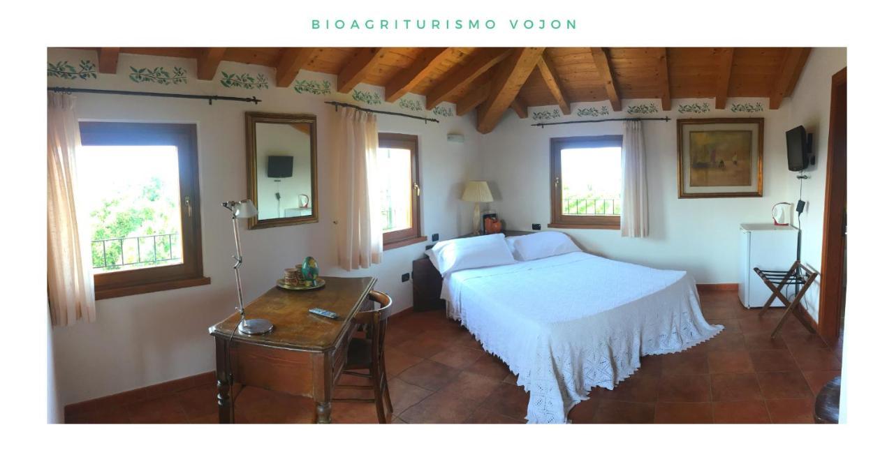 Bio Agriturismo Vojon Понти Сул Минчо Екстериор снимка