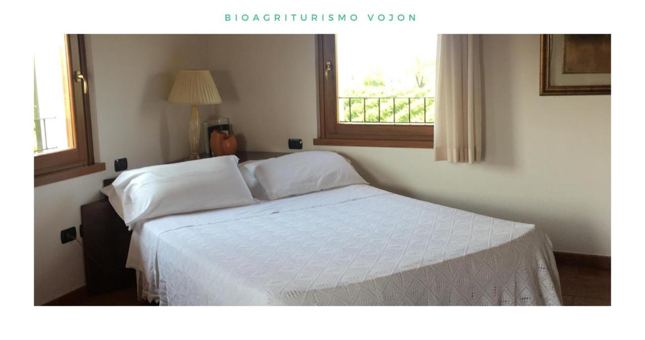 Bio Agriturismo Vojon Понти Сул Минчо Екстериор снимка
