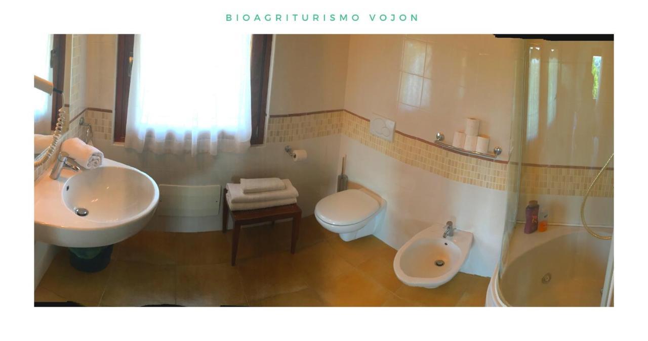Bio Agriturismo Vojon Понти Сул Минчо Екстериор снимка