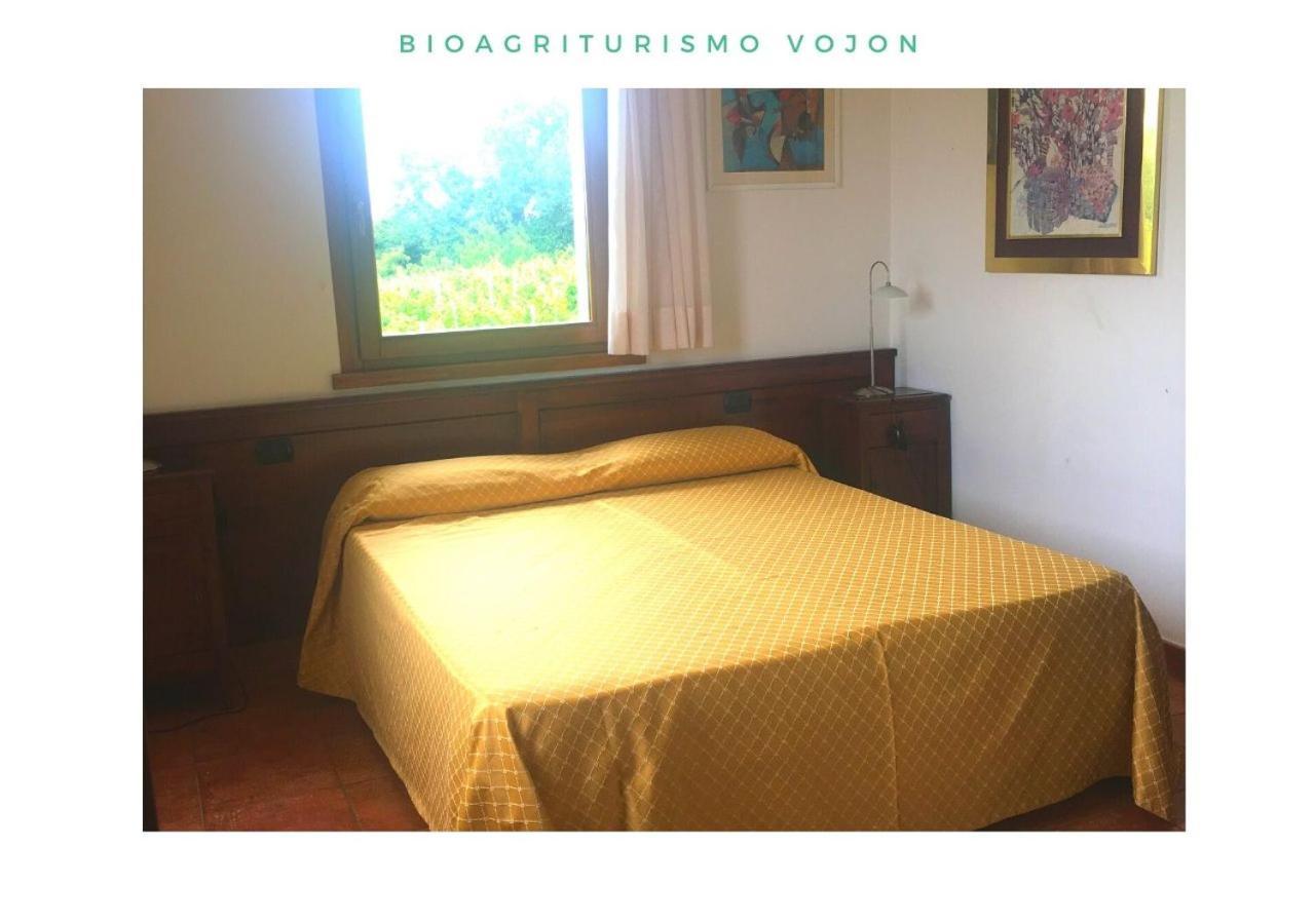 Bio Agriturismo Vojon Понти Сул Минчо Екстериор снимка