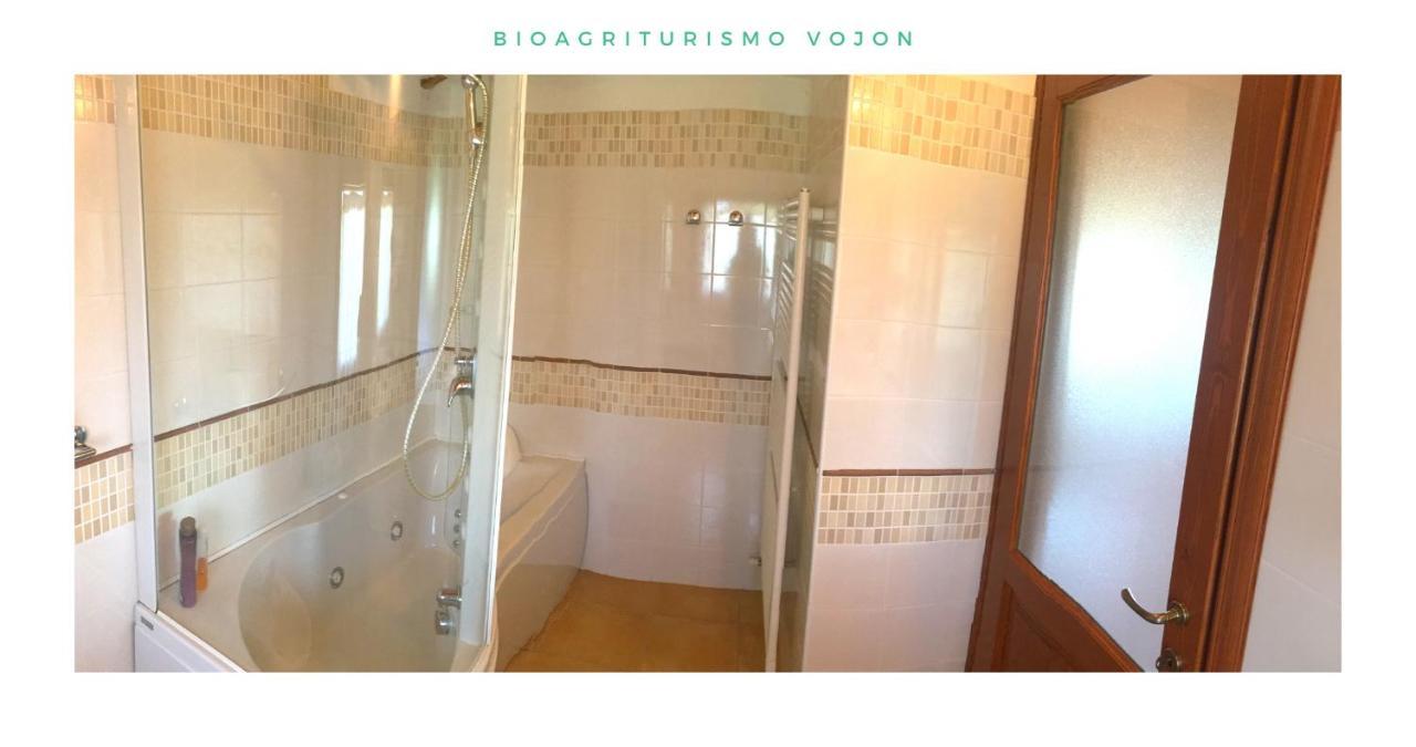 Bio Agriturismo Vojon Понти Сул Минчо Екстериор снимка