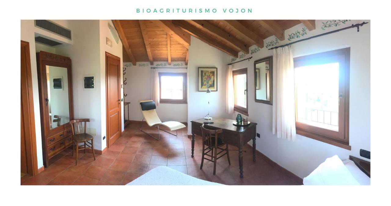 Bio Agriturismo Vojon Понти Сул Минчо Екстериор снимка