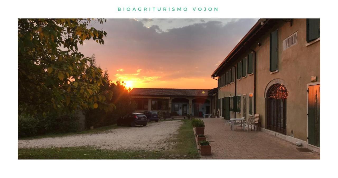 Bio Agriturismo Vojon Понти Сул Минчо Екстериор снимка