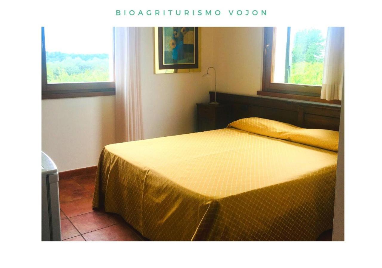 Bio Agriturismo Vojon Понти Сул Минчо Екстериор снимка