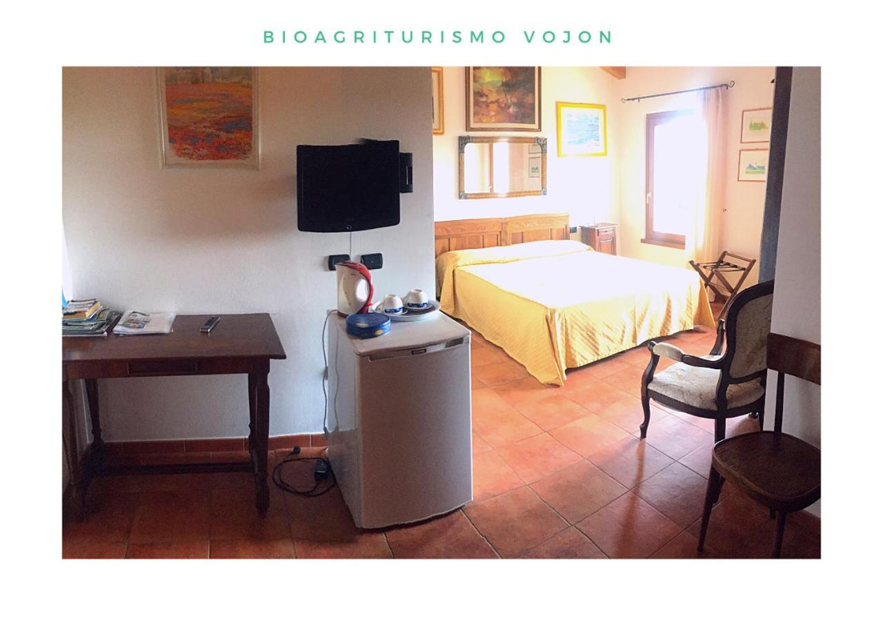 Bio Agriturismo Vojon Понти Сул Минчо Екстериор снимка