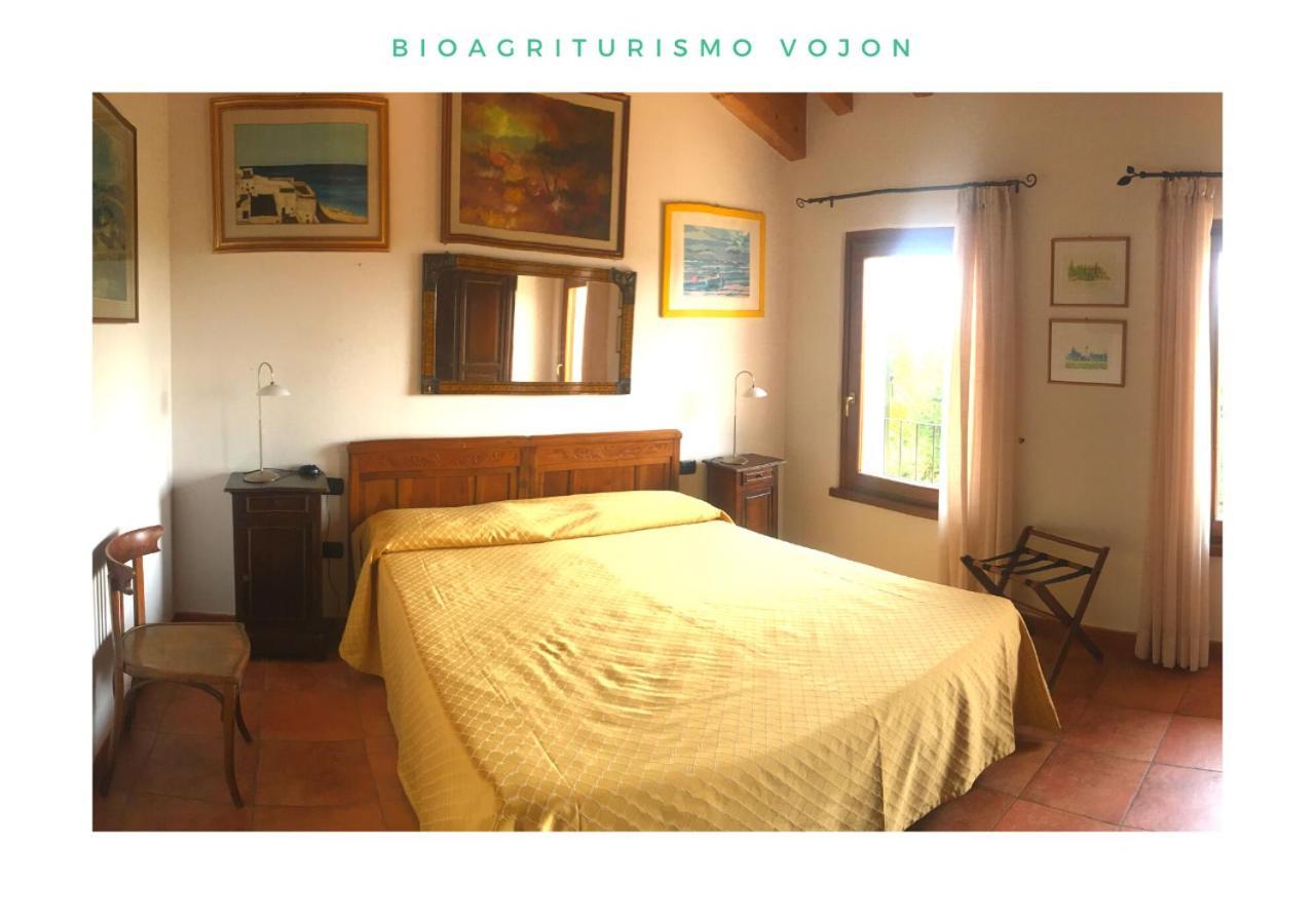 Bio Agriturismo Vojon Понти Сул Минчо Екстериор снимка