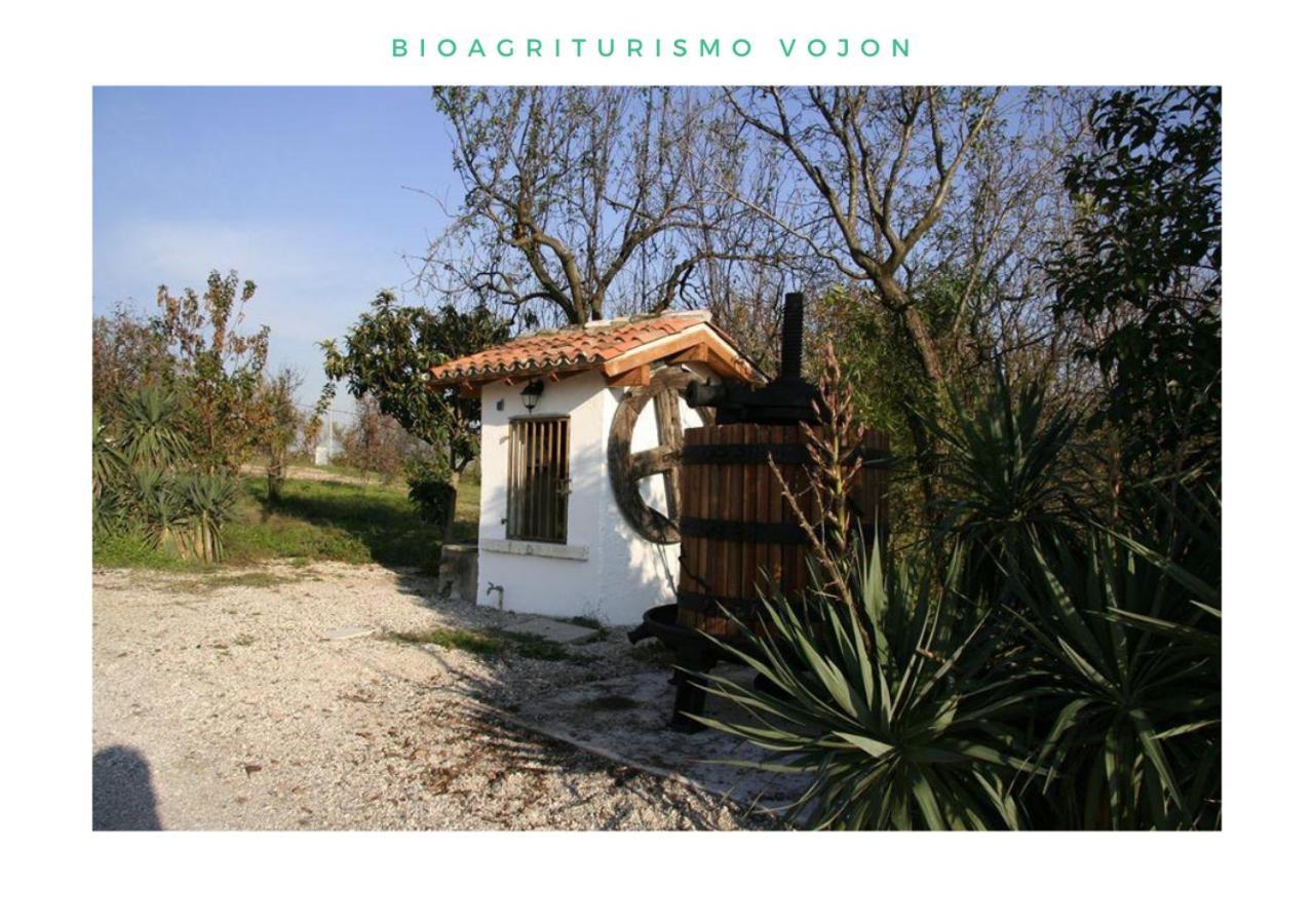 Bio Agriturismo Vojon Понти Сул Минчо Екстериор снимка