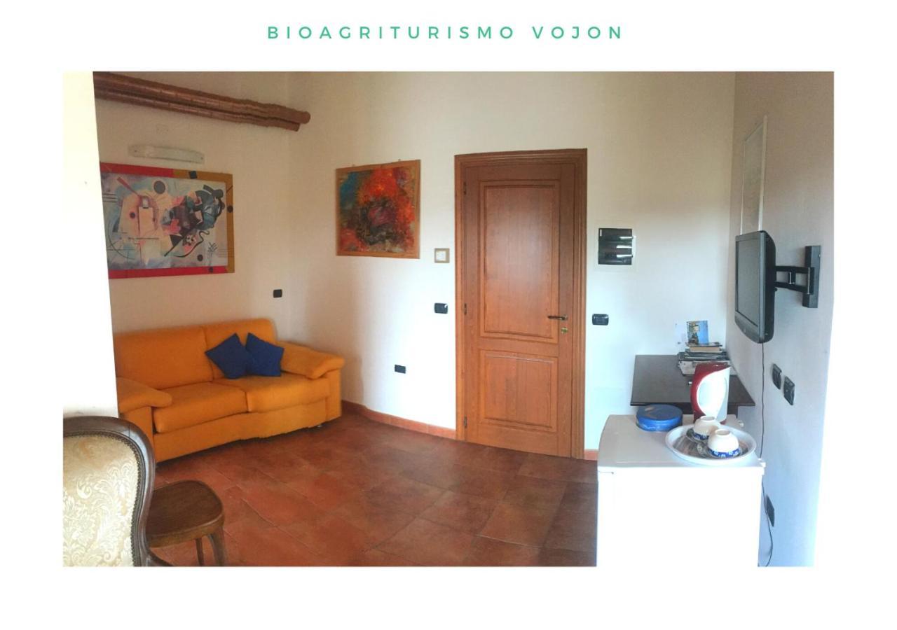 Bio Agriturismo Vojon Понти Сул Минчо Екстериор снимка