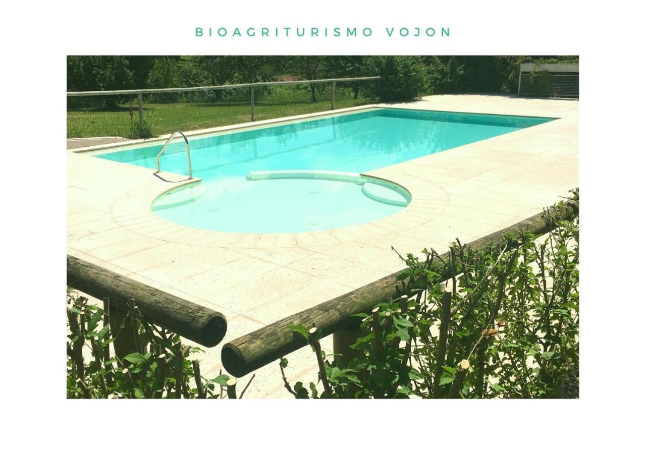 Bio Agriturismo Vojon Понти Сул Минчо Екстериор снимка