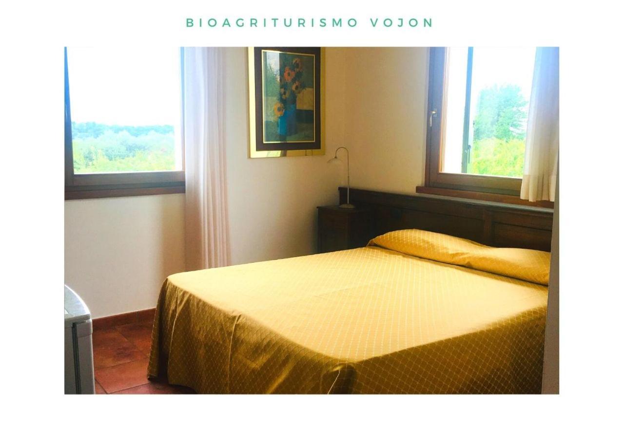 Bio Agriturismo Vojon Понти Сул Минчо Екстериор снимка