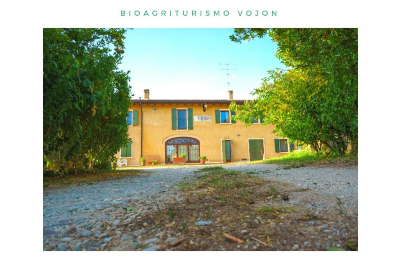 Bio Agriturismo Vojon Понти Сул Минчо Екстериор снимка