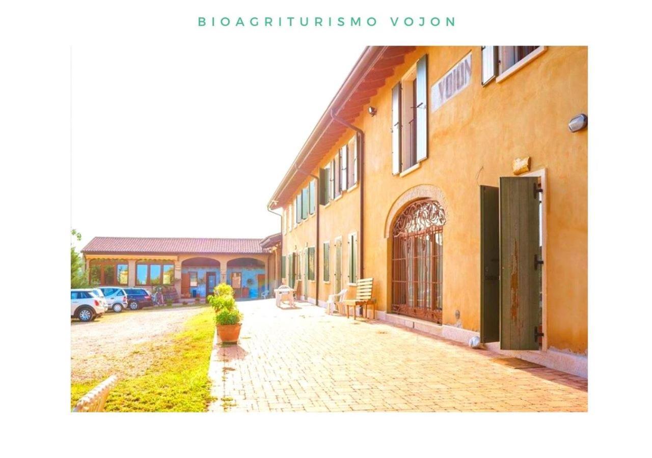 Bio Agriturismo Vojon Понти Сул Минчо Екстериор снимка